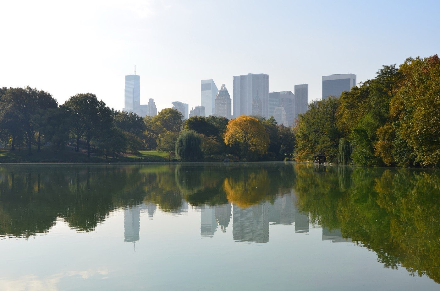The lake in Central Park in autumn, with yellow and green trees along the far bank and the Midtown towers rising behind them