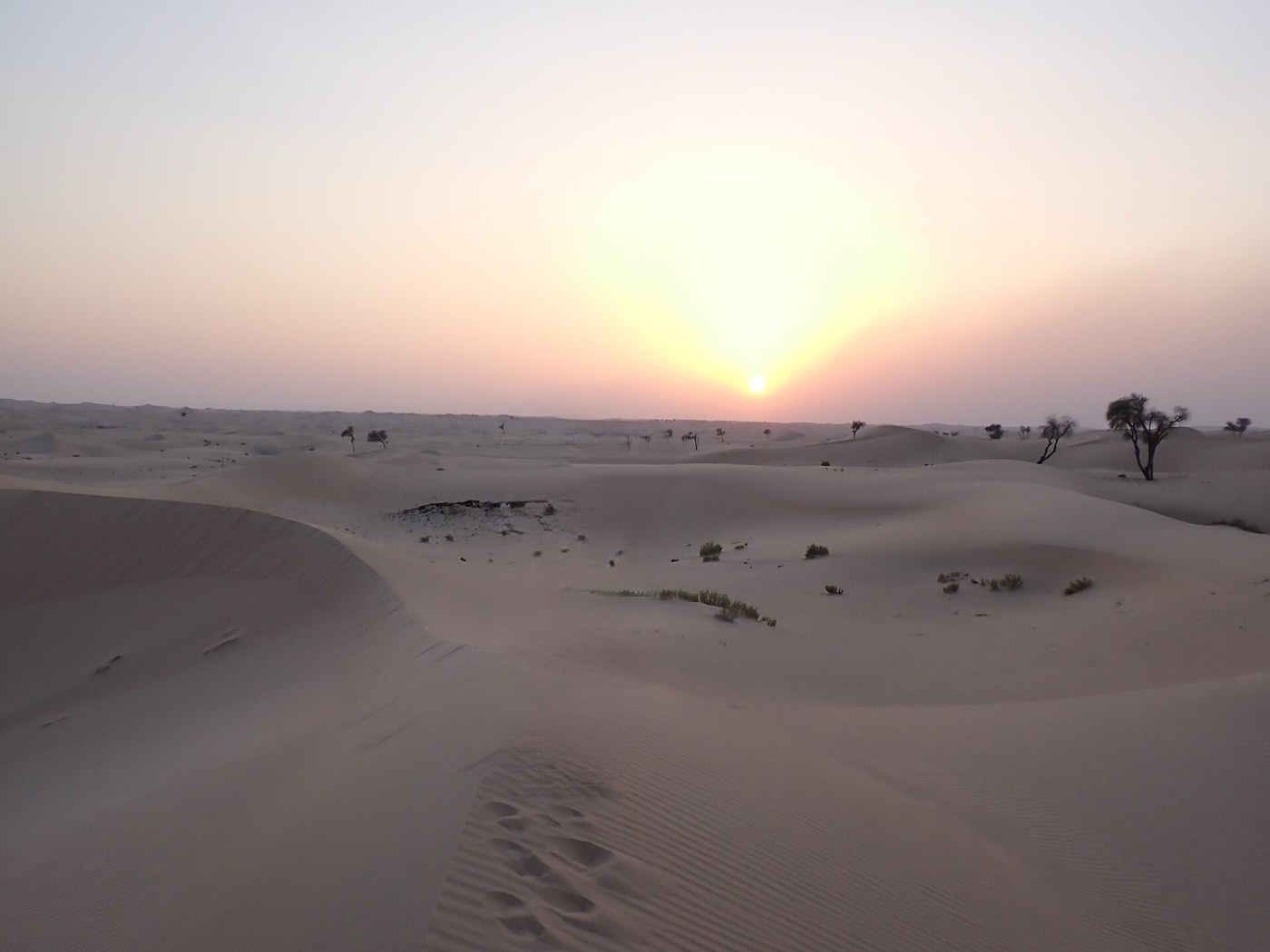 Sand dunes and scattered desert trees under a hazy pink sunset sky in the desert outside Dubai