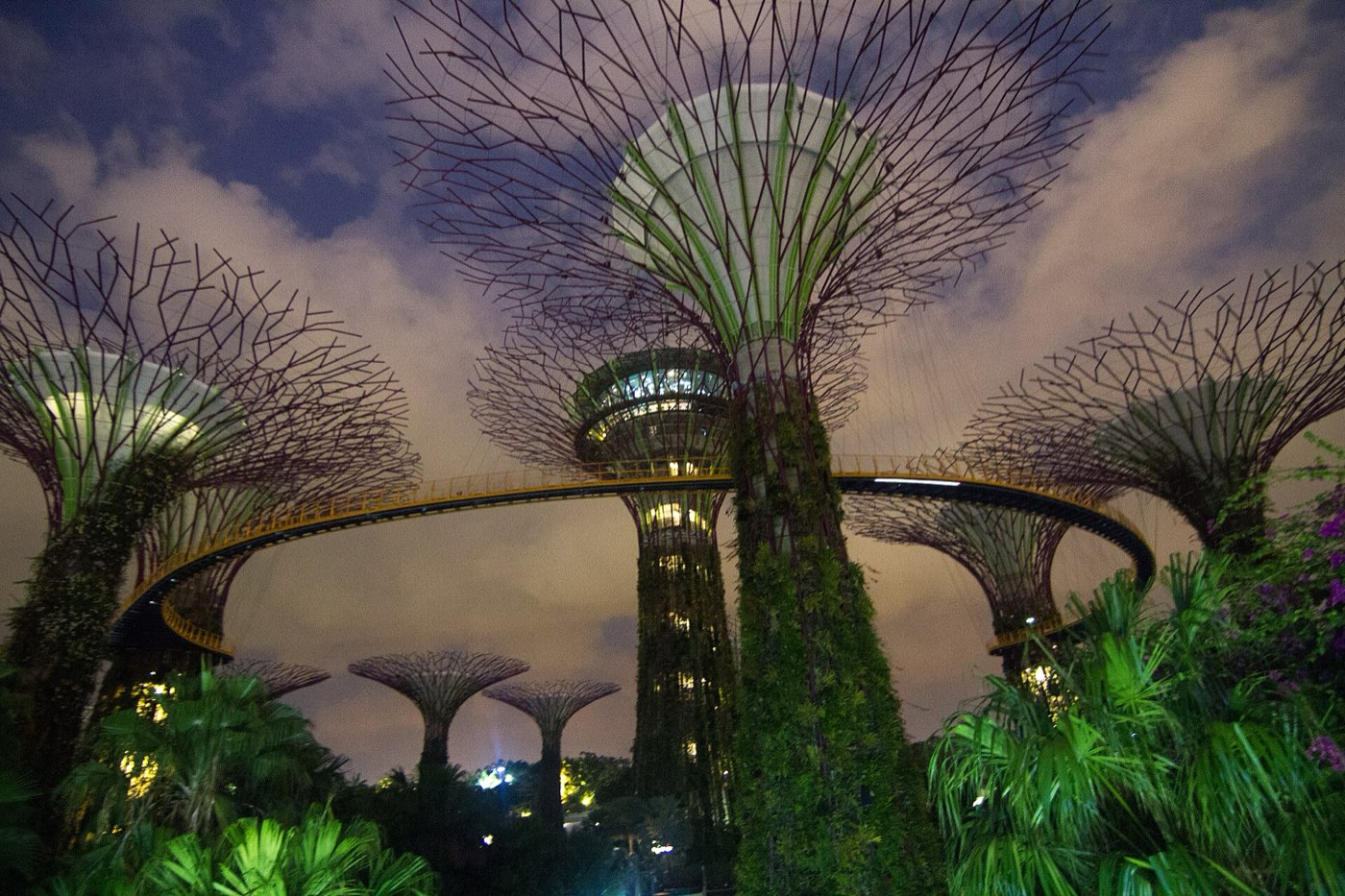 The illuminated Supertree Grove at Gardens by the Bay at night, with the elevated OCBC Skyway walkway strung between the towering tree-like structures
